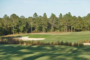 Tree Farm 15th